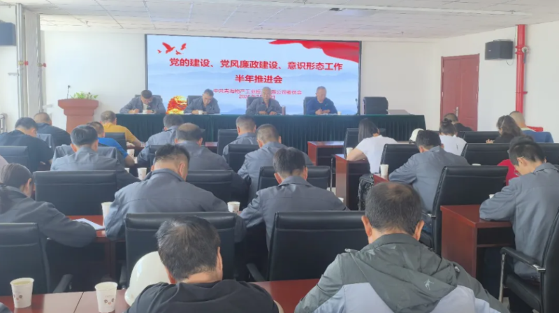 工投公司黨委召開黨的建設(shè)、黨風(fēng)廉政建設(shè)、意識形態(tài)工作半年推進(jìn)會