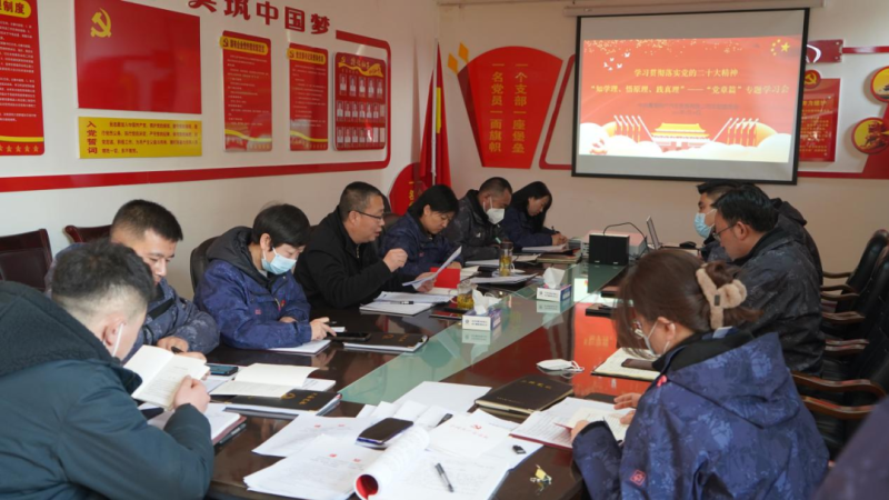 物產(chǎn)汽貿(mào)黨支部召開“知學理、悟原理、踐真理” ——黨章篇”專題學習會